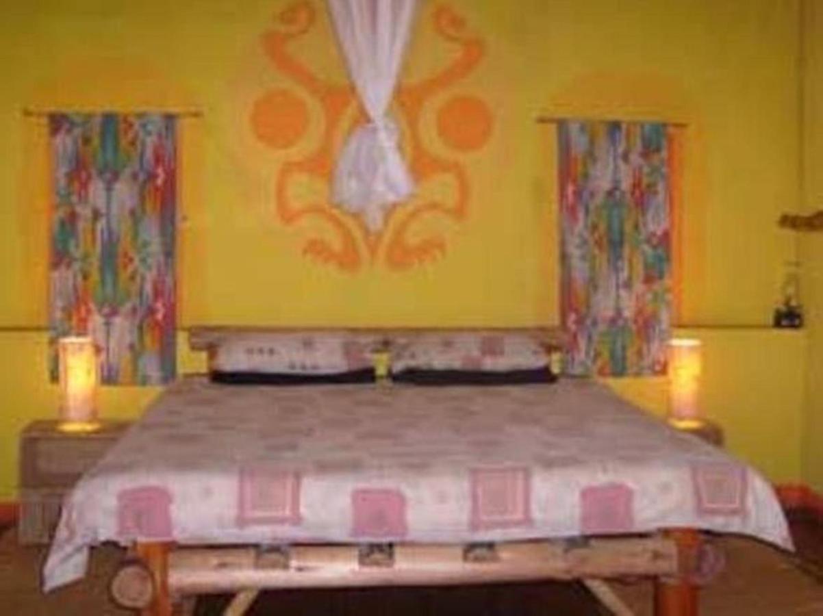 Amapondo Backpacker Lodge Port Saint John's ภายนอก รูปภาพ